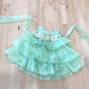 Perfect Spring Baby Dress